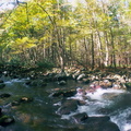 Middle Prong Little Pigeon River